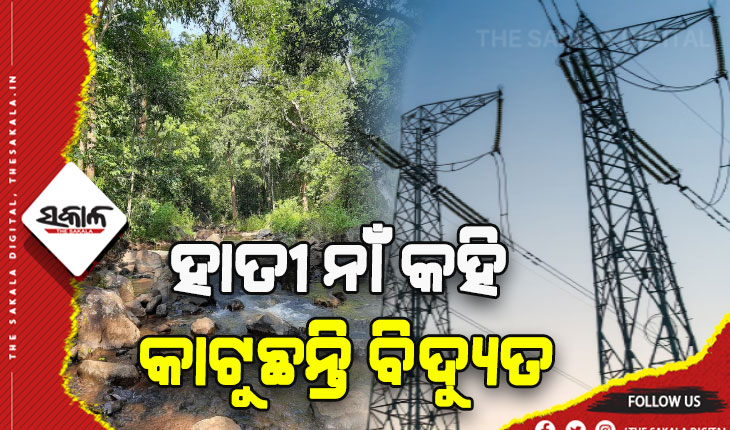 ବିଦ୍ୟୁତ ବିଭାଗ ଓ ବନବିଭାଗର ମନମାନି: ହାତୀ ନାଁ କହି କାଟୁଛନ୍ତି ବିଦ୍ଯୁତ, ସତକୋଶିଆର ୬ ପଞ୍ଚାୟତବାସୀ ହନ୍ତସନ୍ତ