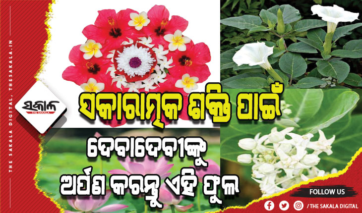 ଜାଣନ୍ତୁ କେଉଁ ଦେବାଦେବୀଙ୍କୁ ଅର୍ପଣ କରିବେ କେଉଁ ଫୁଲ….