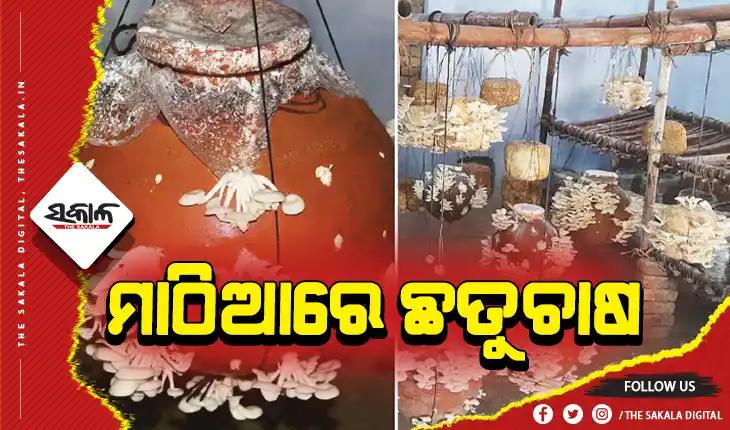 ମାଠିଆରେ ଛତୁଚାଷ କରିବାର ସହଜ ଉପାୟ