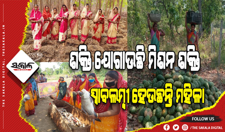 ମିଶନଶକ୍ତି ମାଧ୍ୟମରେ ଢେଙ୍କାନାଳ ଜିଲ୍ଲାର ୨ଲକ୍ଷ ୯୩୫ ମହିଳା ସ୍ୱାବଲମ୍ବୀ