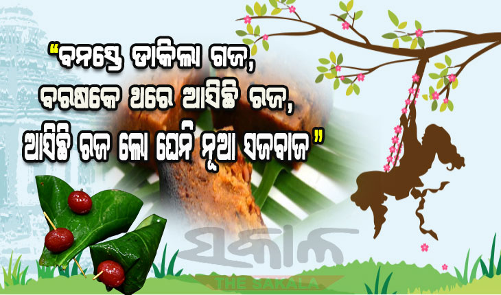 ମାଟିର ପର୍ବ ରଜ: ବିଭିନ୍ନ ପ୍ରକାରର ପିଠାପଣାରେ ମହକିଯାଏ ଓଡ଼ିଶାର ପୁରପଲ୍ଲୀ