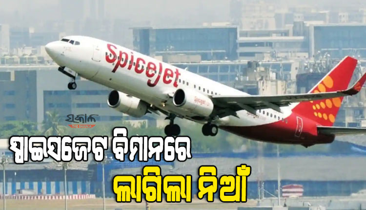 ଉଡାଣ ଭରିବାର କିଛି ସମୟ ପରେ ବିମାନରେ ଲାଗିଲା ନିଆଁ, ପାଟନାରେ ଜରୁରୀ ଅବତରଣ କଲା ସ୍ପାଇସଜେଟ