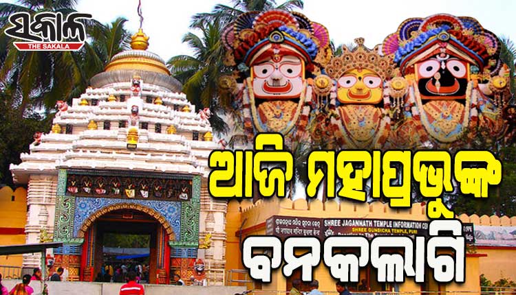 ଜନ୍ମବେଦୀରେ ଦର୍ଶନ ଦେଉଛନ୍ତି ଦାରୁଦିଅଁ: ଆଜି ହେବ ମହାପ୍ରଭୁଙ୍କ ବନକଲାଗି, ୪ ଘଣ୍ଟା ବନ୍ଦ ରହିବ ଦର୍ଶନ