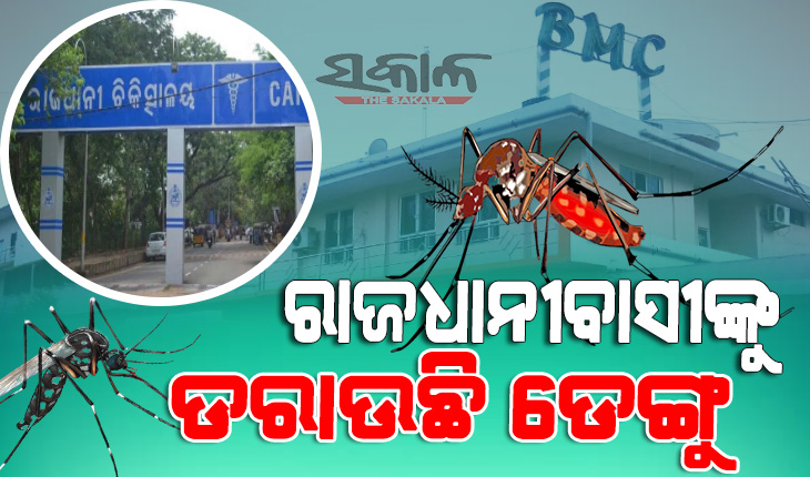 ଭୁବନେଶ୍ୱରରେ ବୃଦ୍ଧି ପାଉଛି ଡେଙ୍ଗୁ ରୋଗୀଙ୍କ ସଂଖ୍ୟା : ଜୁଲାଇରେ ଚିହ୍ନଟ ହେଲେଣି ୧୪୧ ରୋଗୀ