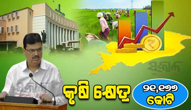 ୨୦୨୨-୨୩ ବଜେଟ୍‌ରେ କୃଷକଙ୍କ ବିକାଶକୁ ଫୋକସ, ଜାଣନ୍ତୁ କେଉଁ ଯୋଜନା ପାଇଁ କେତେ ହୋଇଛି ବ୍ୟୟବରାଦ?