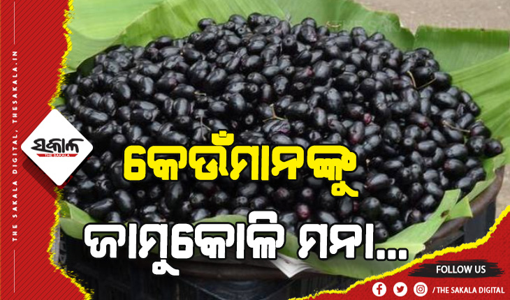 ଜାଣନ୍ତୁ ଅନେକ ରୋଗର ମହୌଷଧି ଜାମୁକୋଳି କେଉଁମାନଙ୍କୁ ଖାଇବା ମନା….