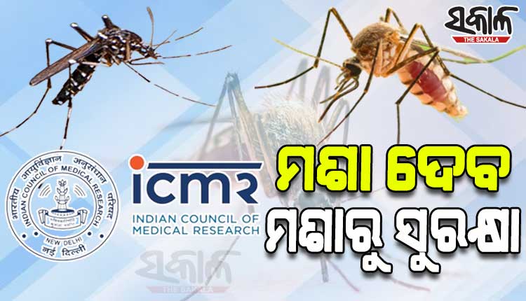 ଆଇସିଏମ୍‌ଆର୍‌ର ନିଆରା ଉଦ୍ଭାବନ: ଚିକେନ୍‌ଗୁନିଆ, ଡେଙ୍ଗୁରୁ ସୁରକ୍ଷା ଦେବେ ମଶା