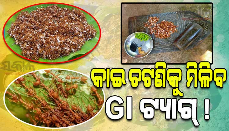 କାଇ ଚଟଣିକୁ ଜିଆଇ ଟ୍ୟାଗ୍‍ ପାଇଁ ପ୍ରୟାସ, ଖୁବଶୀଘ୍ର ଆରମ୍ଭ ହେବ ପ୍ରକ୍ରିୟା
