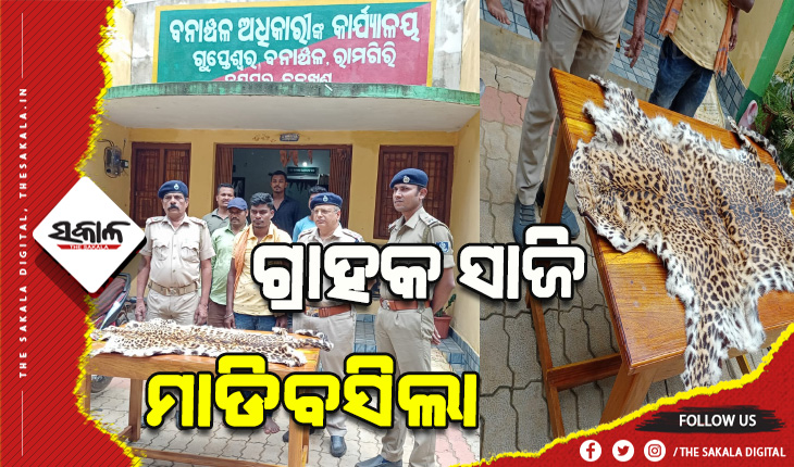 ସ୍ୱତନ୍ତ୍ର ଟାସ୍କ ଫୋର୍ସ ଜାଲରେ ଫସିଲା ବାଘ ଛାଲ ବିକ୍ରେତା