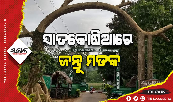 ସାତକୋଷିଆରେ ଜନ୍ତୁ ମଡକ, ଗୋଟିଏ ମାସରେ ୭ ବନ୍ୟଜନ୍ତୁ ମୃତ
