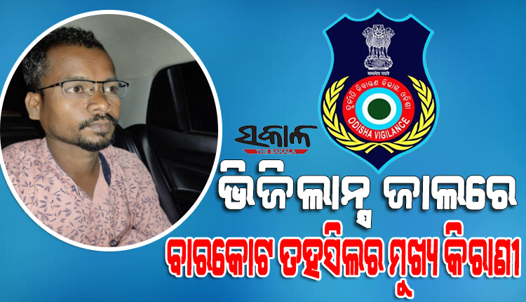 ବାରକୋଟ ତହସିଲର ମୁଖ୍ୟ କିରାଣୀ ରାଜ କିଶୋର କାଲୋଙ୍କୁ ବାନ୍ଧିଲା ଭିଜିଲାନ୍ସ, ଜମି ପଟ୍ଟା କରାଇଦେବାକୁ ନେଉଥିଲେ ୫ ହଜାର ଲାଞ୍ଚ