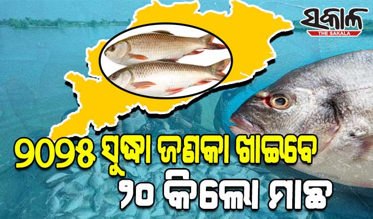 ମତ୍ସ୍ୟ ଓ ପଶୁସମ୍ପଦ ବିଭାଗର ବିବିଧ ମାଛଚାଷ ଯୋଜନାର ରୋଡମ୍ୟାପ୍‍: ରାଜ୍ୟରେ ୨୦୨୫ ସୁଦ୍ଧା ଜଣକା ଖାଇବେ ୨୦ କିଲୋ ମାଛ