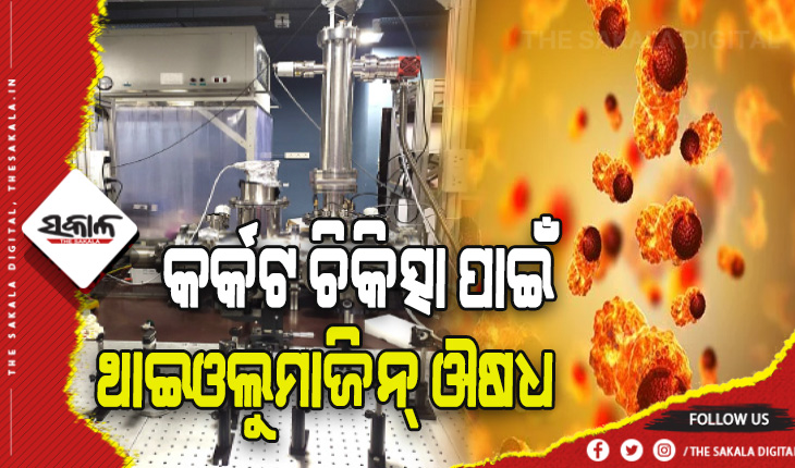 ନାଇଜର୍‍ ଗବେଷକଙ୍କ ନୂଆ ଆବିଷ୍କାର: କର୍କଟ ଚିକିତ୍ସା ପାଇଁ ଆସିଲା ଥାଇଓଲୁମାଜିନ୍‍ ଔଷଧ