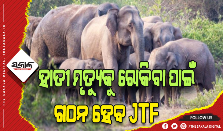 ରାଜ୍ଯରେ ହାତୀ ମୃତ୍ଯୁକୁ ରୋକିବା ପାଇଁ ଗଠନ ହେବ ଜଏଣ୍ଟ ଟାକ୍ସ ଫୋର୍ସ (JTF )