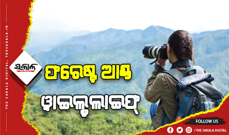 ଫରେଷ୍ଟ ଆଣ୍ଡ ୱାଇଲ୍ଡଲାଇଫରେ କ୍ଯାରିଅର କରିବାକୁ ଚାହୁଁଥିଲେ….