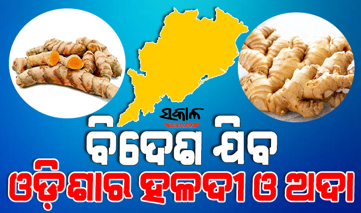 ବିଦେଶରେ ବଢୁଛି ଓଡ଼ିଶା ଉତ୍ପାଦିତ ସାମଗ୍ରୀର ଚାହିଦା, ବିଦେଶ ଯିବ ଓଡ଼ିଶାର ହଳଦୀ ଓ ଅଦା