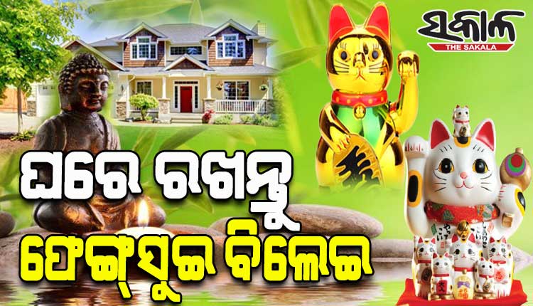 ଘରେ ଏହି ରଙ୍ଗର ଫେଙ୍ଗସୁଇ ବିଲେଇ ରଖିଲେ ଦୂର ହୋଇଥାଏ ଅନେକ ସମସ୍ୟା…