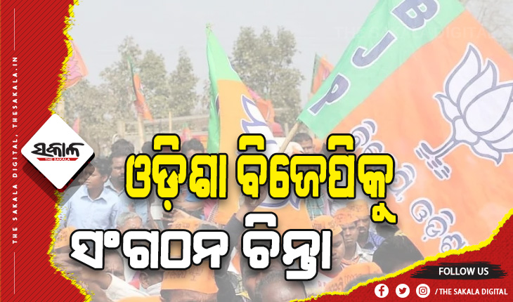 ରାଜ୍ୟ ବିଜେପିକୁ ସଂଗଠନ ଚିନ୍ତା: ଲୋକଙ୍କ ଭରସା ହରାଉଛନ୍ତି ନିର୍ବାଚିତ ଜନପ୍ରତିନିଧି