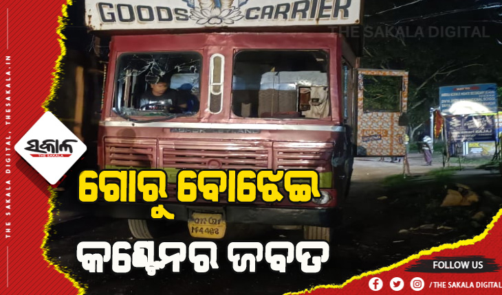 ବାଘମାରୀ ଅଞ୍ଚଳରୁ ଗୋରୁ ବୋଝେଇ କଣ୍ଟେନର ଜବତ, ଚାଳକ ଫେରାର