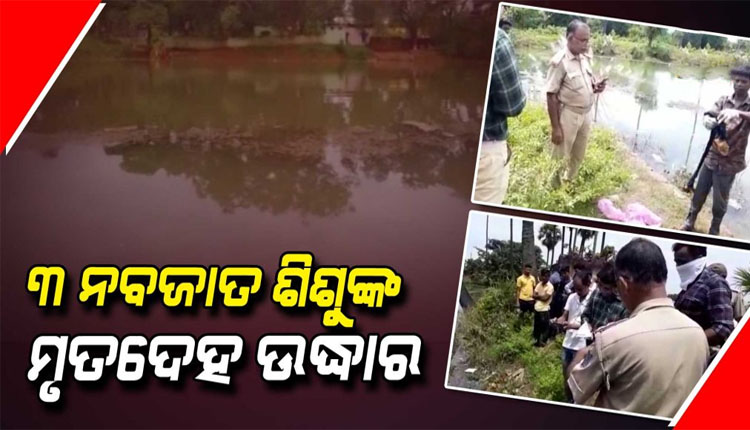 ପୋଖରୀରୁ ୩ ନବଜାତ ଶିଶୁଙ୍କ ମୃତଦେହ ଉଦ୍ଧାର