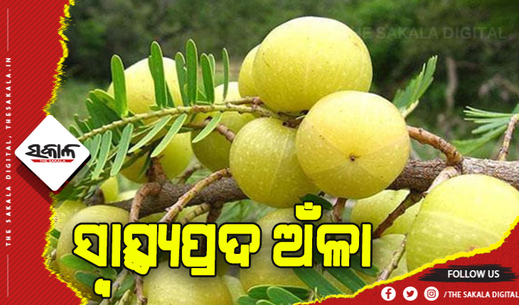 ଖାଲି ପେଟରେ ଖାଆନ୍ତୁ ଅଁଳା….