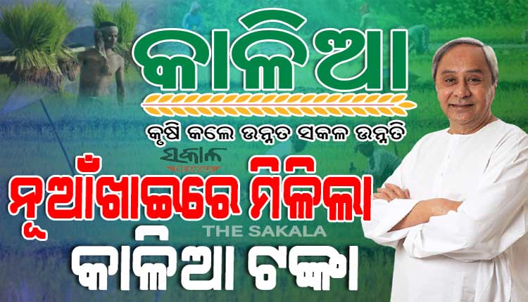 ନୂଆଁଖାଇରେ ଚାଷୀଙ୍କ ଆକାଉଣ୍ଟକୁ ଆସିଲା ‘କାଳିଆ’ ସହାୟତା