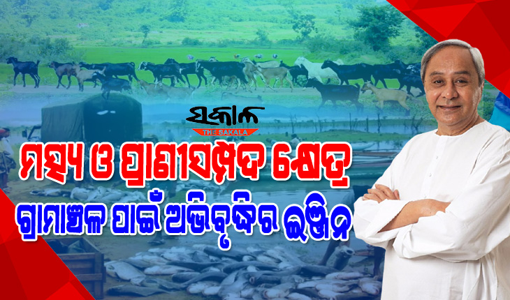 ମତ୍ସ୍ୟ ଓ ପଶୁସମ୍ପଦ ବିକାଶ ବିଭାଗରେ ୮୦୪ କର୍ମଚାରୀ ନିଯୁକ୍ତ: ୫ଟି ଉପକ୍ରମ ଅବଲମ୍ବନ କରି ତୃଣମୂଳ ସ୍ତରରେ ପରିବର୍ତ୍ତନ ପାଇଁ କାମ କରିବାରୁ ମୁଖ୍ଯମନ୍ତ୍ରୀଙ୍କ ପରାମର୍ଶ