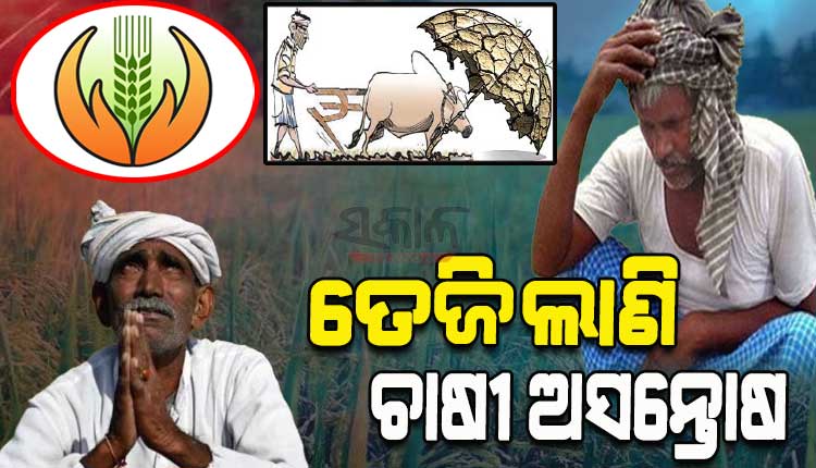 ରାଜ୍ୟରେ ପ୍ରଧାନମନ୍ତ୍ରୀ ଫସଲ ବୀମା ଯୋଜନା ଦିଗହରା; ବୀମା କମ୍ପାନୀଙ୍କ ମନୋମୁଖୀ କାର୍ଯ୍ୟ ପ୍ରତିବାଦରେ ତେଜିଲାଣି ଚାଷୀ ଅସନ୍ତୋଷ