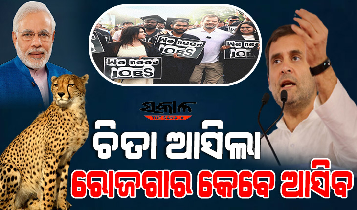 ପ୍ରଧାନମନ୍ତ୍ରୀଙ୍କୁ ରାହୁଲଙ୍କ ପ୍ରଶ୍ନ, ୮ଟି ଚିତା ତ ଆସିଗଲେ ହେଲେ ୮ବର୍ଷରେ ୧୬କୋଟି ଚାକିରି କୁଆଡେ ଗଲା