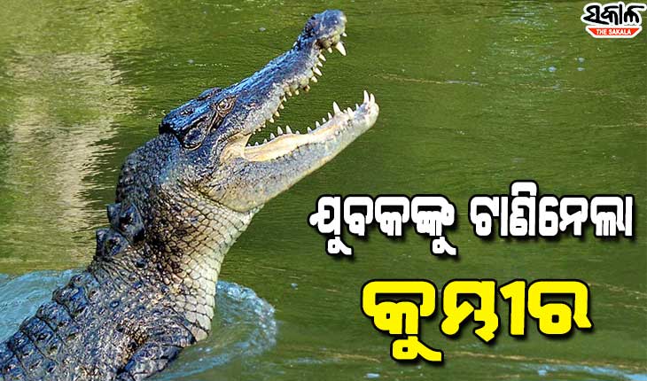 ନଦୀକୁ ଶୌଚ ପାଇଁ ଯାଇଥିବାବେଳେ ଝାମ୍ପିନେଲା କୁମ୍ଭୀର, ଅଳ୍ପକେ ବର୍ତ୍ତିଲେ ଯୁବକ