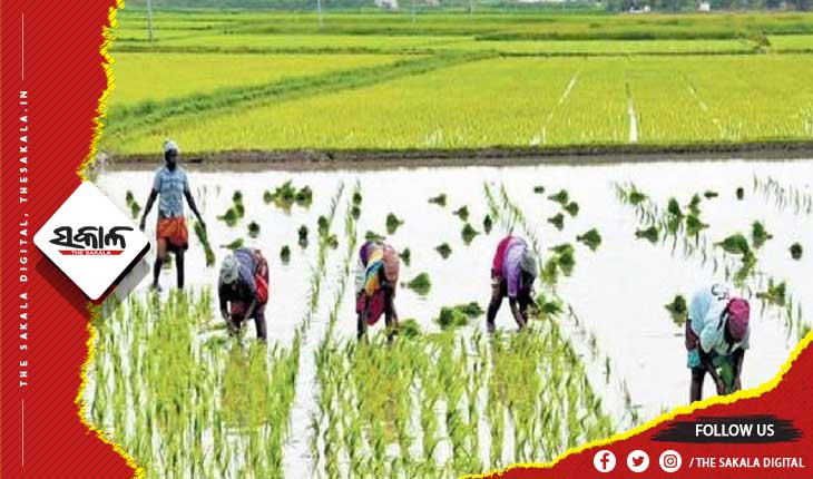 ଫସଲ ବୀମା ପ୍ରଦାନରେ କେନ୍ଦ୍ର କରୁଛି ଅବହେଳା : କାଲି ସମସ୍ତ ଜିଲ୍ଲାପାଳଙ୍କ ଅଫିସ ଆଗରେ ବିଜେଡିର ବିକ୍ଷୋଭ
