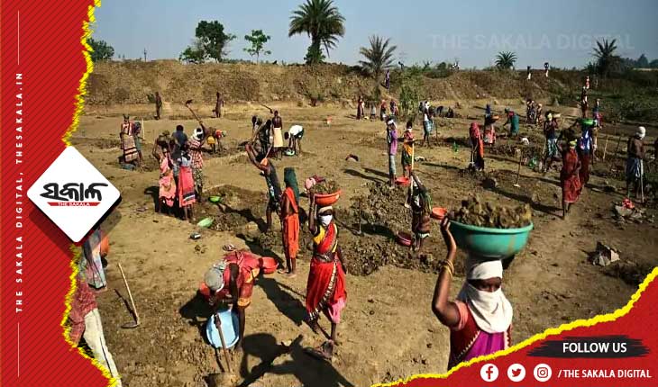 ବଢିଲା ଶ୍ରମିକଙ୍କ ପାରିଶ୍ରମିକ, ଦୈନିକ ମଜୁରୀ ୭ ଟଙ୍କା ବୃଦ୍ଧି