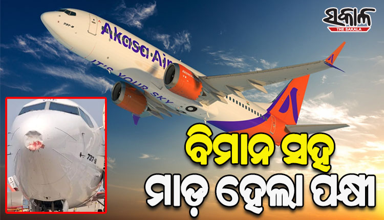 ମଝି ଆକାଶରେ ଉଡ଼ୁଥିବାବେଳେ ‘ଆକାଶ ଏୟାର’ ବିମାନରେ ମାଡ଼ହେଲା ପକ୍ଷୀ, ଦିଲ୍ଲୀ ଏୟାରପୋର୍ଟରେ କଲା ଜରୁରୀ ଅବତରଣ