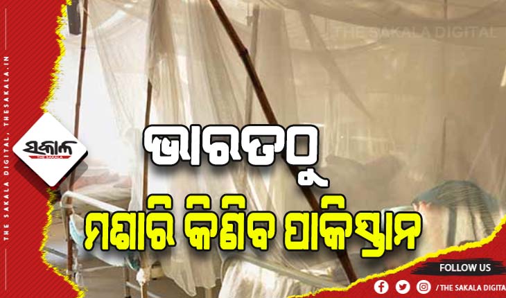 ପାକିସ୍ତାନକୁ ଘାରିଛି ମ୍ୟାଲେରିଆ ଭୟ: ଭାରତରୁ ମଶାରି କିଣିବ ପାକିସ୍ତାନ