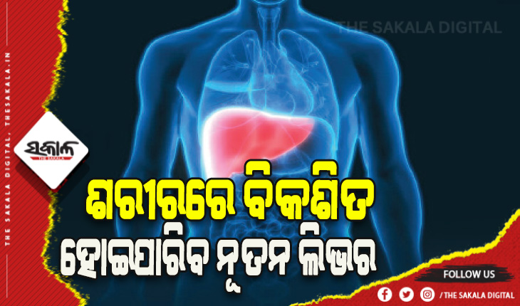 ସ୍ବାସ୍ଥ୍ୟ ବିଜ୍ଞାନୀମାନଙ୍କୁ ଆଉ ଏକ ସଫଳତା, ଶରୀରରେ ବିକଶିତ ହୋଇପାରିବ ନୂତନ ଲିଭର୍‌