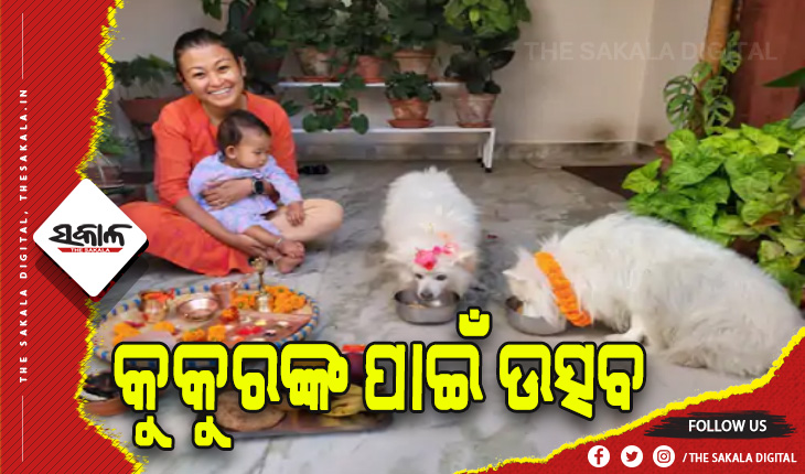କୁକୁରଙ୍କ ପାଇଁ ଉତ୍ସବ: ବିଶ୍ୱସ୍ତତା ପାଇଁ ତିଲକ ଲଗାଇ ଆରତୀ କରି ଦେଲେ ଧନ୍ୟବାଦ