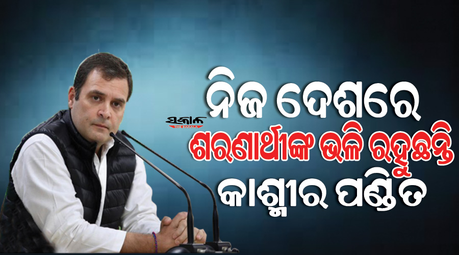 ବଡ ବଡ କଥା କହୁଥିବା ପ୍ରଧାନମନ୍ତ୍ରୀ କ୍ଷମତାକୁ ଉପଭୋଗ କରୁଛନ୍ତି,ନିଜ ଦେଶରେ ଶରଣାର୍ଥୀଙ୍କ ଭଳି ରହୁଛନ୍ତି କାଶ୍ମୀର ପଣ୍ଡିତ : ରାହୁଲ ଗାନ୍ଧୀ