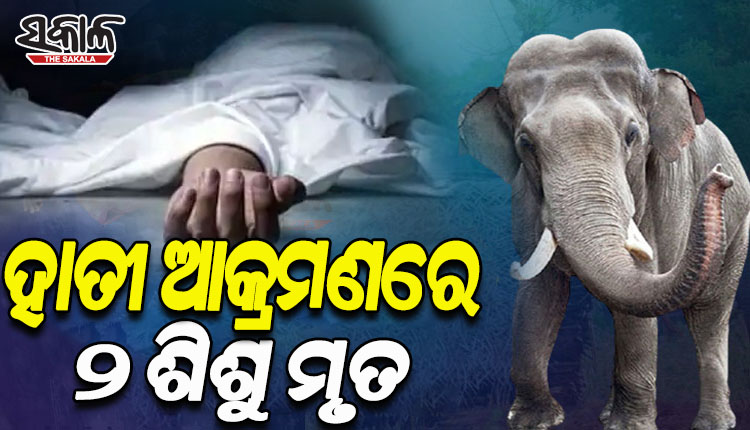 ବାପା ମା’ଙ୍କ ସାମ୍ନାରେ ଦୁଇ ନାବାଳକ ପିଲାଙ୍କୁ ଦଳିଦେଲା ଦନ୍ତା