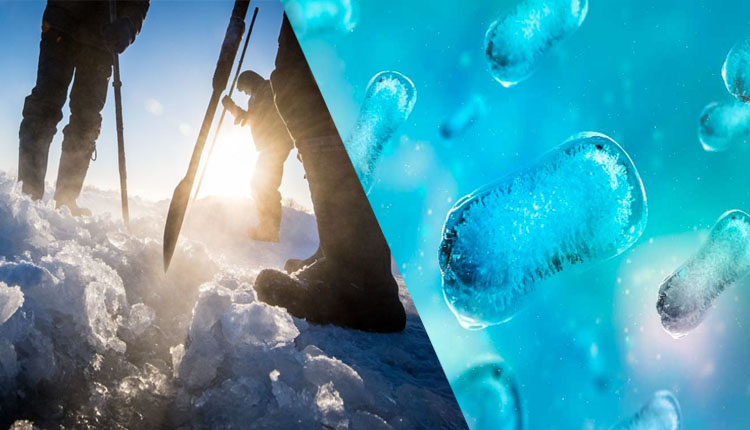 ୪୮୫୦୦ ବର୍ଷ ତଳର ଭୂତାଣୁକୁ ପୁଣି ଜୀବିତ କଲେ ବୈଜ୍ଞାନିକ