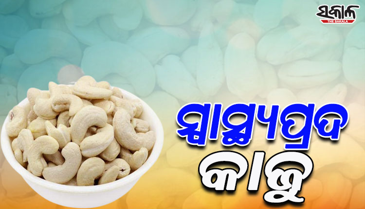 ଶରୀରକୁ ସୁସ୍ଥ ରଖିବା ସହ ସ୍ମୃତିଶକ୍ତି ବଢାଇବା ପାଇଁ ଡାଏଟ୍ ରେ ଖାଆନ୍ତୁ ଏହି ଡ୍ରାଏଫୁଡ…