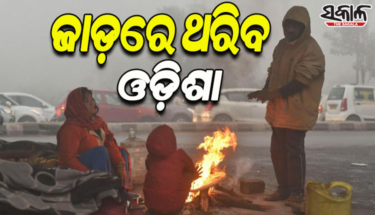 ଆସନ୍ତା ୨ ଦିନ ପରେ ୪ ଡିଗ୍ରୀ କମିବ ତାପମାତ୍ରା, ପୁଣି ବଢିବ ଶୀତର ପ୍ରକୋପ