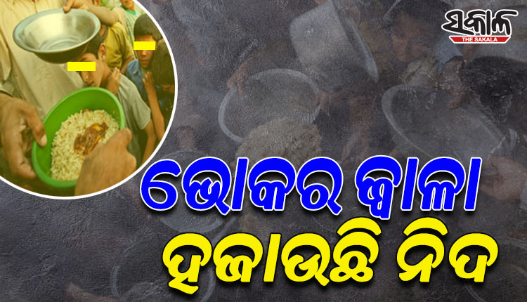 ଆଫଗାନିସ୍ତାନରେ ଭୟଙ୍କର ଖାଦ୍ୟ ସଙ୍କଟ; ଖାଦ୍ୟ ପାଇଁ ନିଜ ଝିଅ ଏବଂ କିଡ୍‌ନୀ ବିକ୍ରି କରୁଛନ୍ତି ଲୋକେ