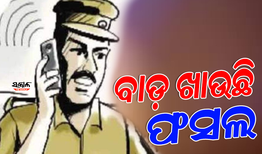ମଦ ମାଫିଆଙ୍କୁ ଅବକାରୀ ଏସ୍‍ଆଇଙ୍କ ପ୍ରୋତ୍ସାହନ : କନେଷ୍ଟବଳ  ସାଜିଛନ୍ତି ଗୁମାସ୍ତା