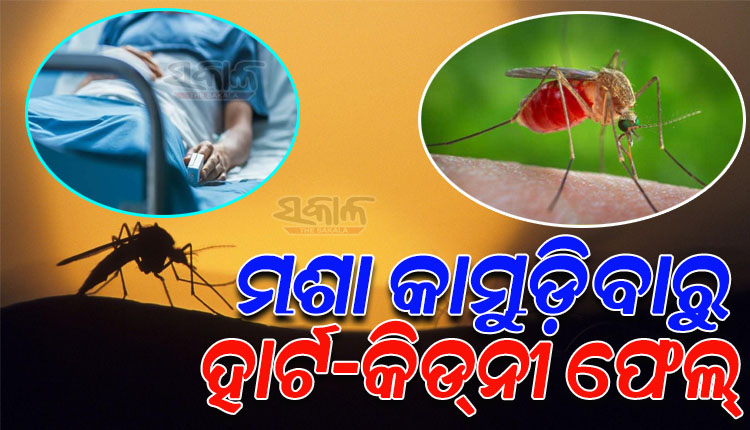 ମଶା କାମୁଡ଼ିବାରୁ ୪ ସପ୍ତାହ କୋମାରେ ରହିଲେ ରୋଗୀ; ୩୦ ଅସ୍ତ୍ରୋପଚାର ପରେ ବଞ୍ଚିଲା ଜୀବନ