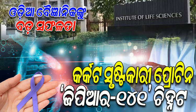 କର୍କଟ ନିରାକରଣ କ୍ଷେତ୍ରରେ ଓଡ଼ିଆ ବୈଜ୍ଞାନିକଙ୍କୁ ବଡ଼ ସଫଳତା; ଚିହ୍ନଟ ହେଲା କର୍କଟ ସୃଷ୍ଟିକାରୀ ପ୍ରୋଟିନ ‘ଜିପିଆର-୧୪୧’