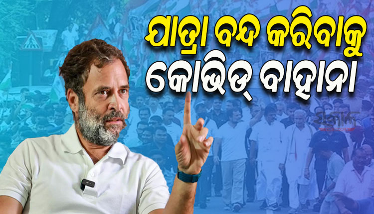 ‘କୋଭିଡ କେବଳ ବାହାନା; ଭାରତ ଯୋଡ ଯାତ୍ରା ବନ୍ଦ କରିବାକୁ ଚାହୁଁଛି କେନ୍ଦ୍ର’: ରାହୁଲ ଗାନ୍ଧି