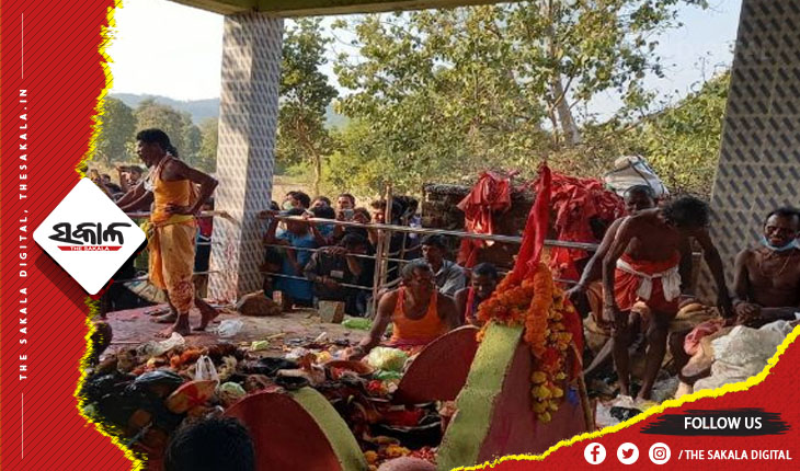 ଆଜି ବଲାଙ୍ଗୀରରେ ଆଦିବାସୀଙ୍କ ପ୍ରସିଦ୍ଧ ଶୁଲିଆ ଯାତ୍ରା, ରକ୍ତରଞ୍ଜିତ ହେଲା ଶୁଲିଆ ପୀଠ