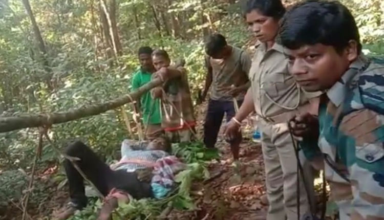 ଭାଲୁ ଆକ୍ରମଣରେ ୨ ବନ କର୍ମଚାରୀ ଆହତ