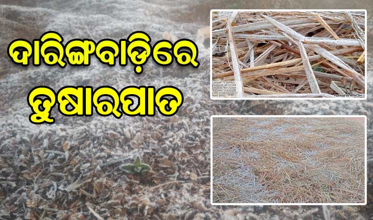 ଦାରିଙ୍ଗବାଡ଼ିରେ ଚଳିତ ବର୍ଷର ପ୍ରଥମ ତୁଷାରପାତ