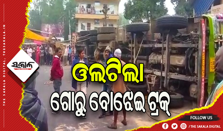 ଭାରସାମ୍ୟ ହରାଇ ଓଲଟିଲା ଗୋରୁ ବୋଝେଇ ଟ୍ରକ୍, ୧୪ରୁ ଉର୍ଦ୍ଧ୍ଵ ଗୋରୁ ମୃତ